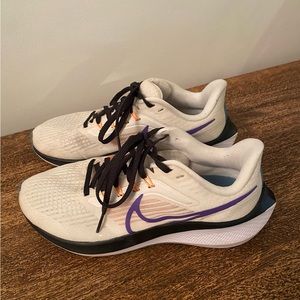 Nike Pegasus 39 shoes